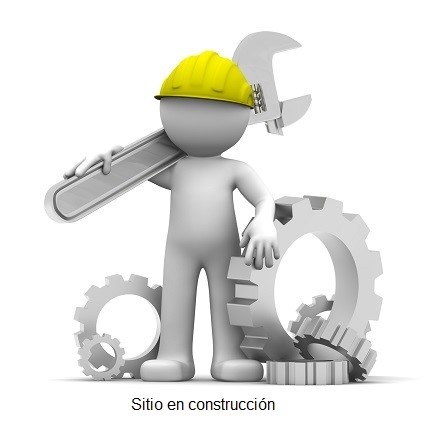 pagina en construccion
